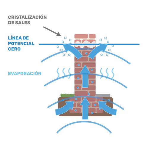 Phase 1 Biodry